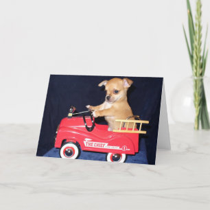 Chihuahua puppy greeting card