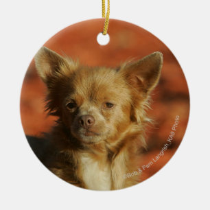 Chihuahua Puppy Headshot Ceramic Tree Decoration