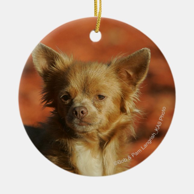 Chihuahua Puppy Headshot Ceramic Tree Decoration (Front)