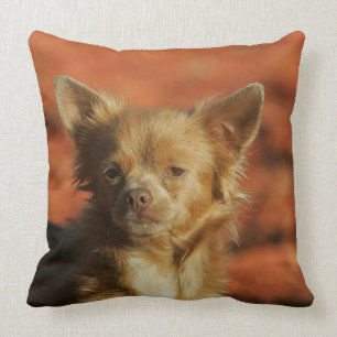 Chihuahua Puppy Headshot Cushion
