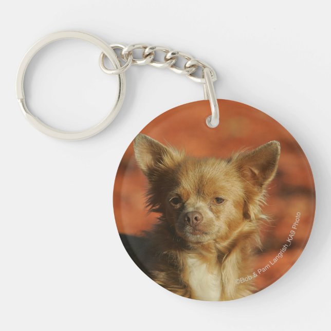 Chihuahua Puppy Headshot Key Ring (Front)
