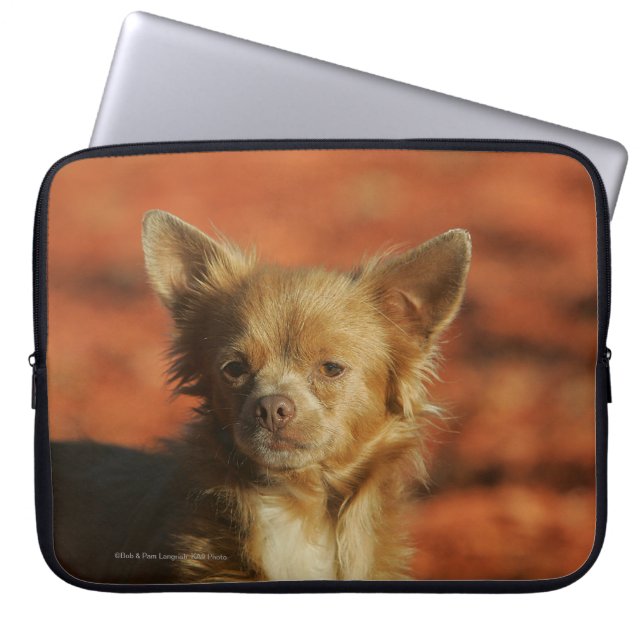Chihuahua Puppy Headshot Laptop Sleeve (Front)