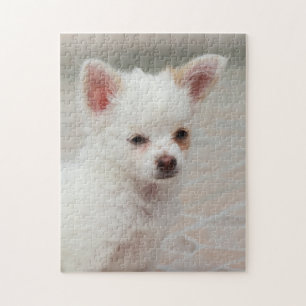 Chihuahua puppy in a garden jigsaw puzzle