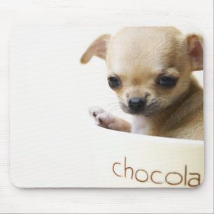 Chihuahua puppy in bowl (cropped) mouse mat