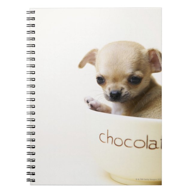 Chihuahua puppy in bowl (cropped) notebook (Front)