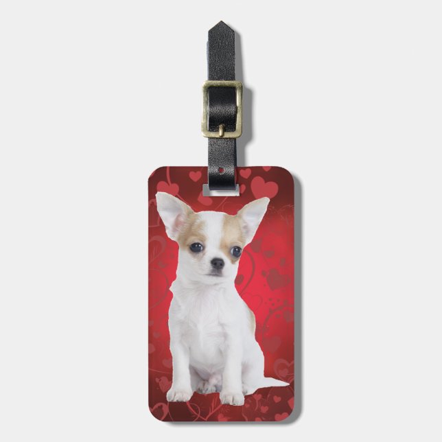 Chihuahua puppy in red luggage tag (Front Vertical)