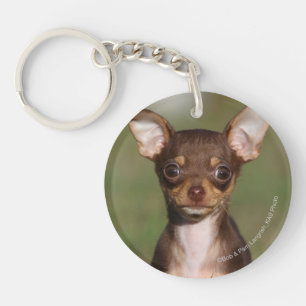 Chihuahua Puppy Looking at Camera Key Ring