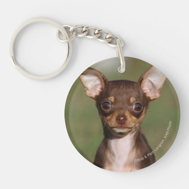 Chihuahua Puppy Looking at Camera Key Ring (Front)