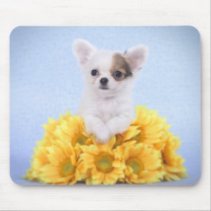 Chihuahua puppy mouse mat
