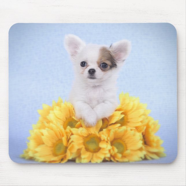 Chihuahua puppy mouse mat (Front)