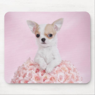 Chihuahua puppy mouse mat