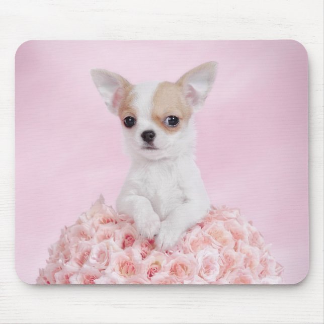 Chihuahua puppy mouse mat (Front)