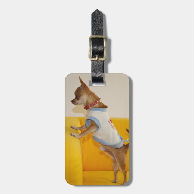 Chihuahua Puppy On Yellow Sofa Luggage Tag (Front Vertical)