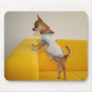 Chihuahua Puppy On Yellow Sofa Mouse Mat