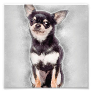 Chihuahua Puppy Sitting | Cute Animal Decor Photo Print