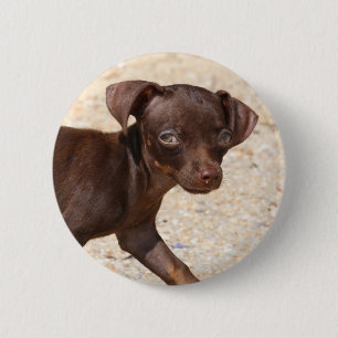 Chihuahua Puppy Walking 6 Cm Round Badge
