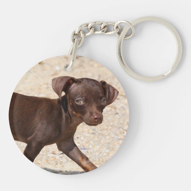 Chihuahua Puppy Walking Key Ring (Back)