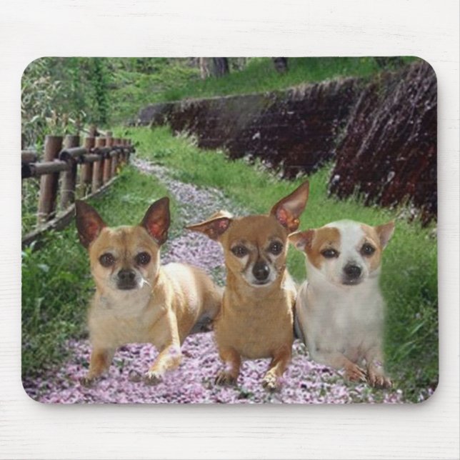 Chihuahua Purple Flowers Mousepad (Front)