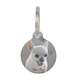 Chihuahua Round Small Pet Tag Add Photo