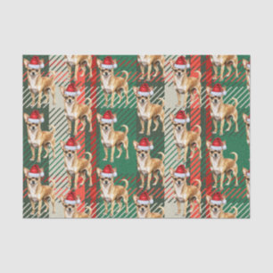 Chihuahua Sant Dog on Plaid Christmas Holiday Tissue Paper
