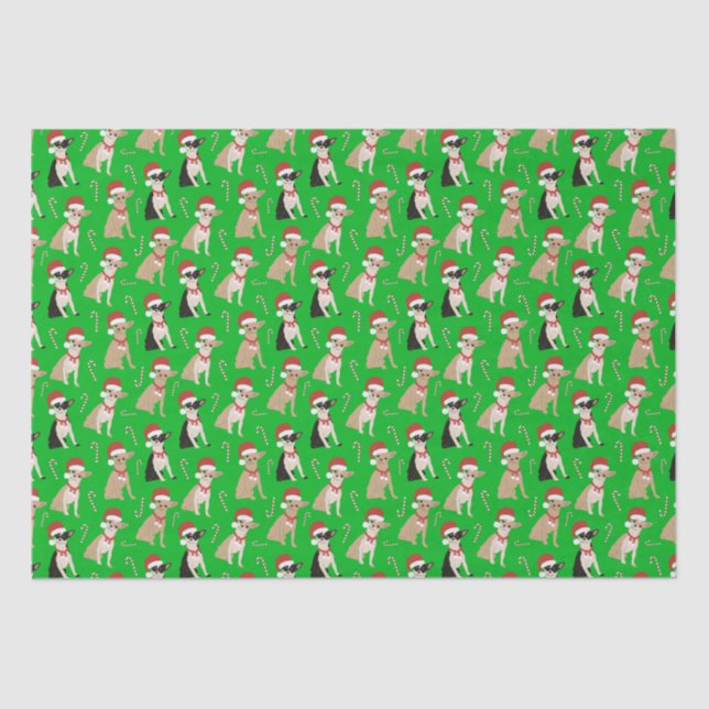 Chihuahua Santa Hat Candy Cane Green Christmas  Tissue Paper (Front)