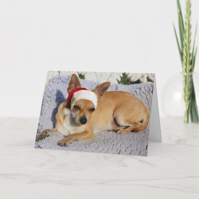 Chihuahua Santa Holiday Card (Front)
