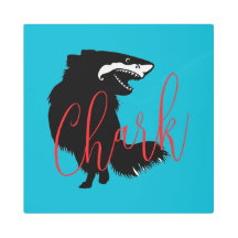 Chihuahua + Shark = Chark 