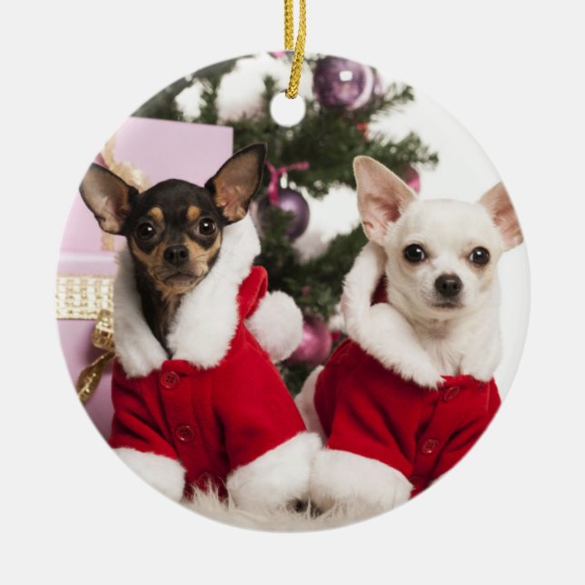 Chihuahua Sitting And Wearing A Christmas Suit Ceramic Tree Decoration (Front)