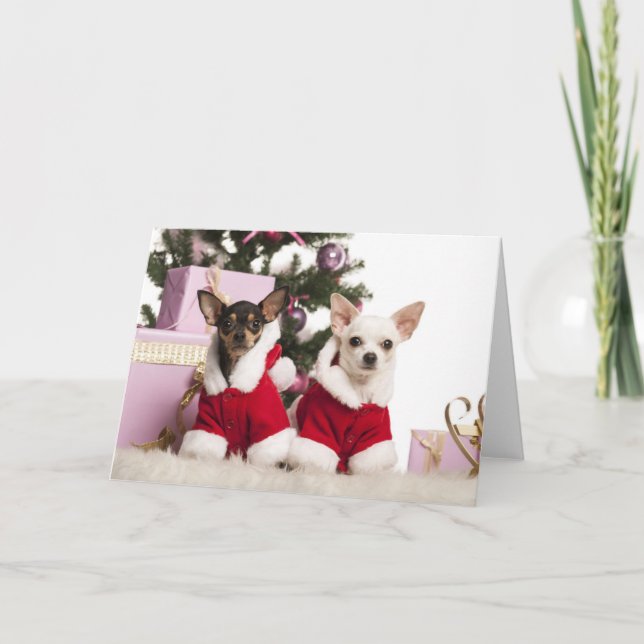 Chihuahua Sitting And Wearing A Christmas Suit Holiday Card (Front)