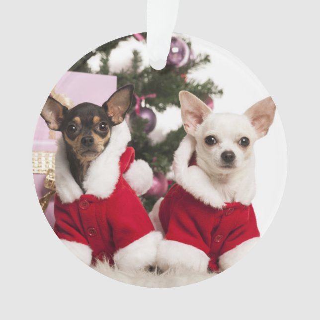Chihuahua Sitting And Wearing A Christmas Suit Ornament (Front)