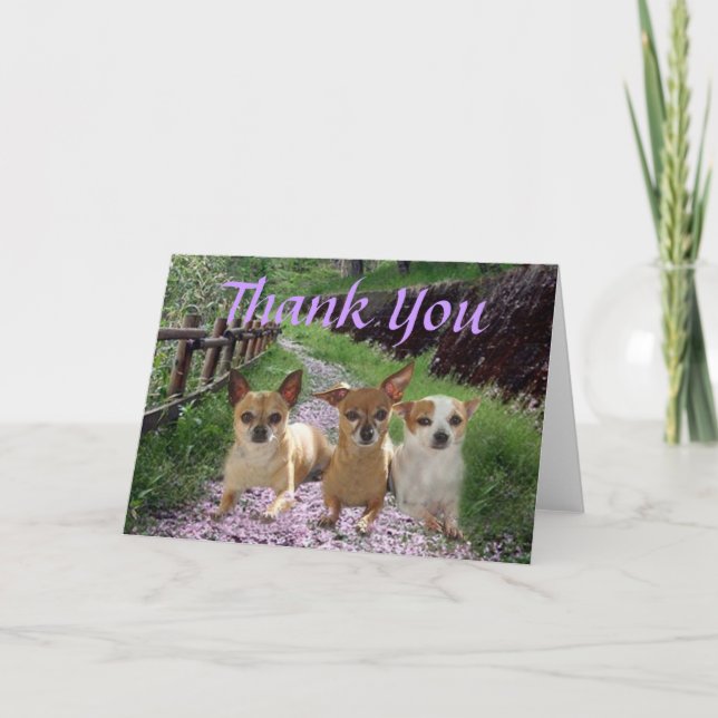 Chihuahua Thank You Card (Front)