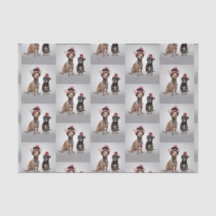 Chihuahua Tissue Paper