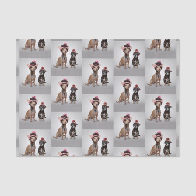 Chihuahua Tissue Paper (Front)