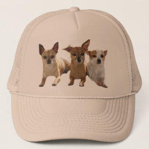 Chihuahua Trio Hat