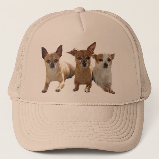 Chihuahua Trio Hat (Front)