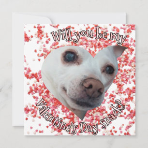 Chihuahua Valentine's Day Flat Holiday Card