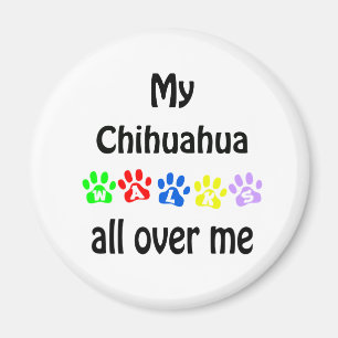 Chihuahua Walks Design Magnet