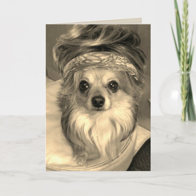 Chihuahua wearing a wig in sepia Birthday Card (Front)
