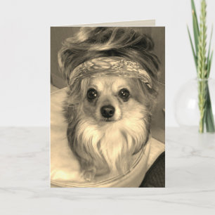 Chihuahua wearing a wig in sepia Birthday Card
