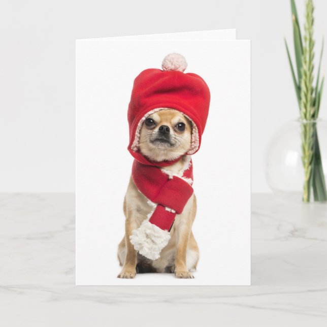 Chihuahua Wearing Christmas Hat And Scarf Holiday Card (Front)