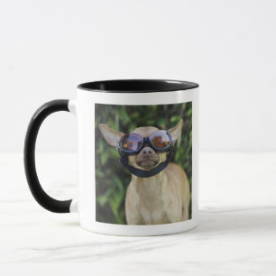 Chihuahua wearing goggles mug