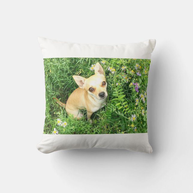 chihuahua white throw pillow. cushion (Front)