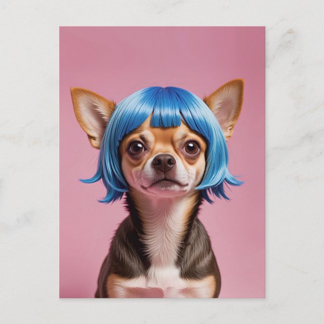 Chihuahua wig holiday postcard (Front)