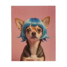 Chihuahua wig