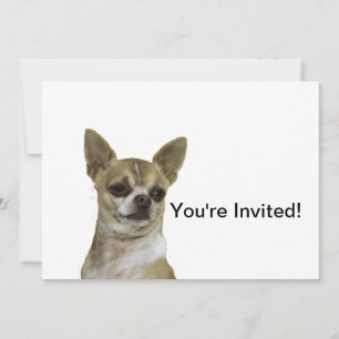 Chihuahua with Attitude Invitation
