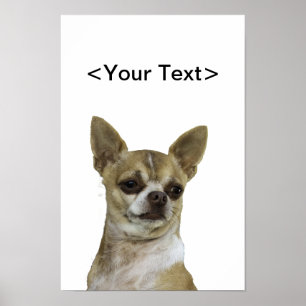 Chihuahua with Attitude Poster