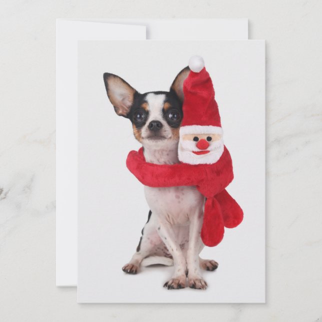 Chihuahua with Santa Claus doll Holiday Card (Front)