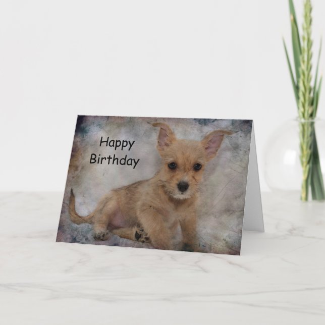 Chihuahua/Yorkie Puppy Card (Front)