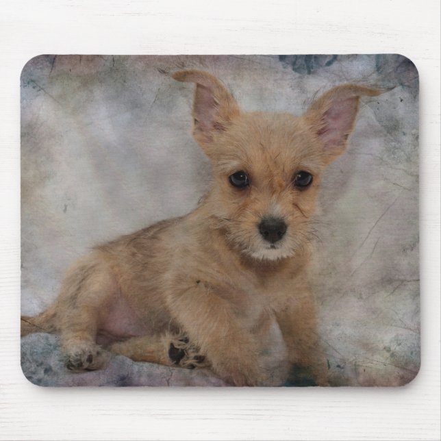 Chihuahua/Yorkie Puppy Mouse Mat (Front)