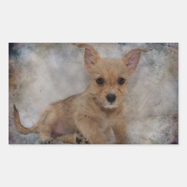 Chihuahua/Yorkie Puppy Rectangular Sticker (Front)